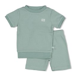 truitje ster blauw