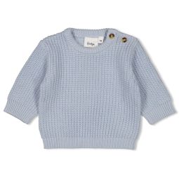 truitje ster blauw