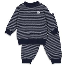 truitje ster blauw