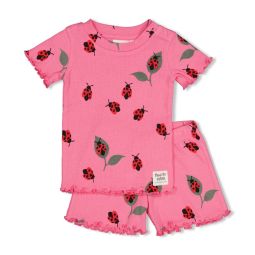 truitje ster blauw